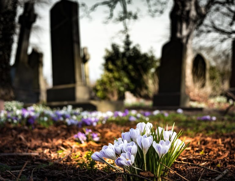 Lire la suite à propos de l’article PW – L’accès aux cimetières