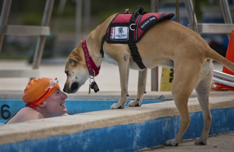 Lire la suite à propos de l’article PW – La campagne « Bienvenue aux chiens d’assistance » de l’Agence wallonne pour une vie de qualité (AViQ)