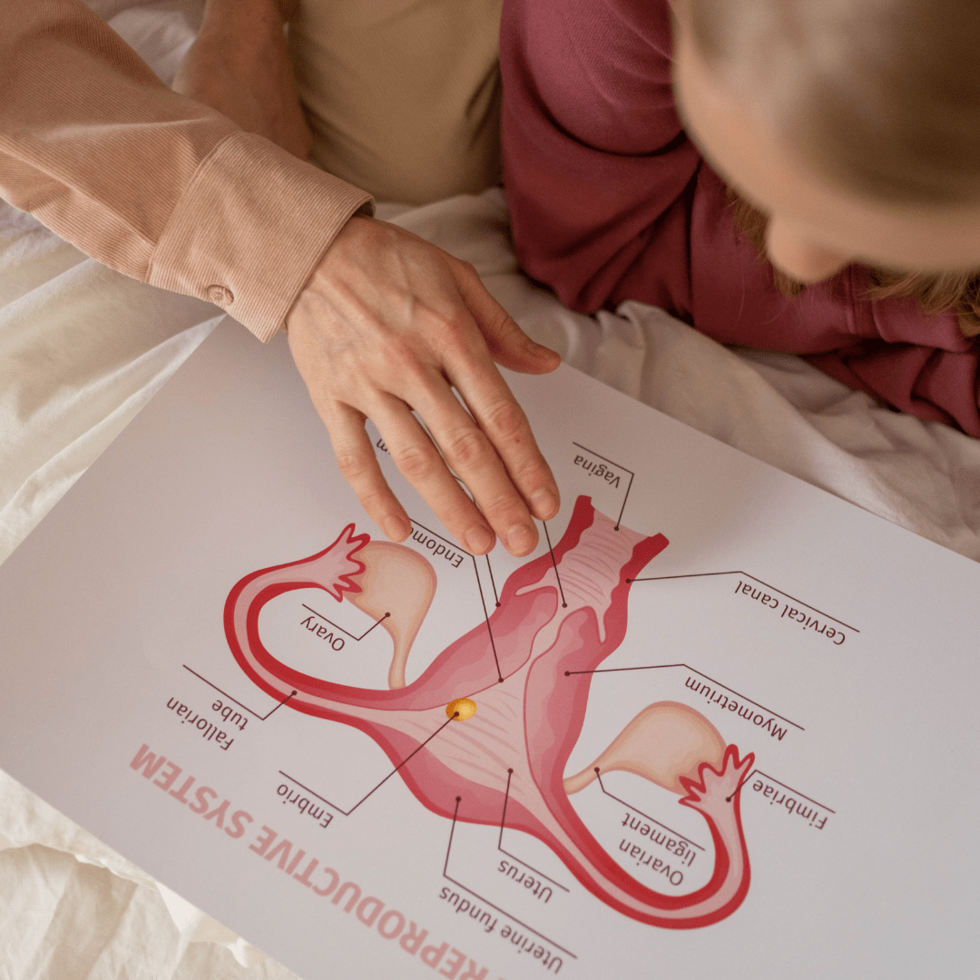 Lire la suite à propos de l’article Généralisons l’Education à la vie relationnelle, affective et sexuelle