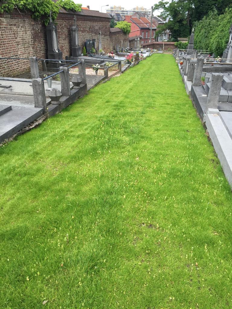Lire la suite à propos de l’article Végétalisation des cimetières : interview croisée avec Patricia Stassen, Echevine à Seraing