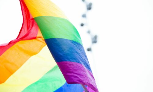 17 mai  – Journée internationale contre l’homophobie, la transphobie et la biphobie